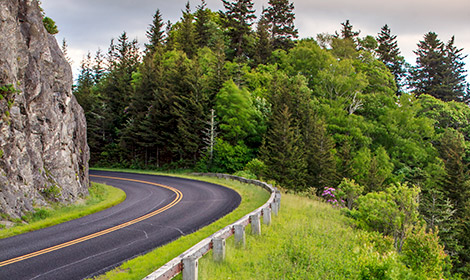 Road section along the Blue Ridge Parkway