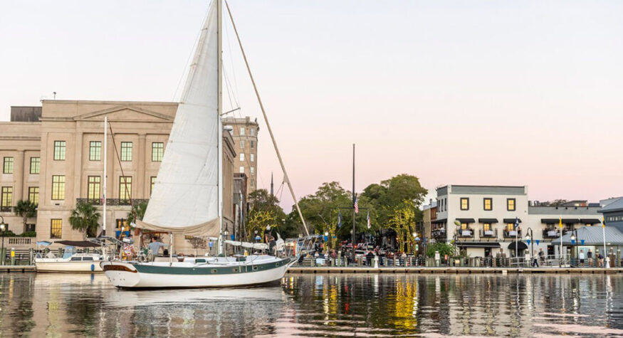 Cruise along the Cape