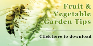 download web graphic