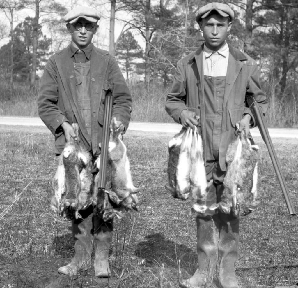 The History of the Chatham County Rabbit | Our State