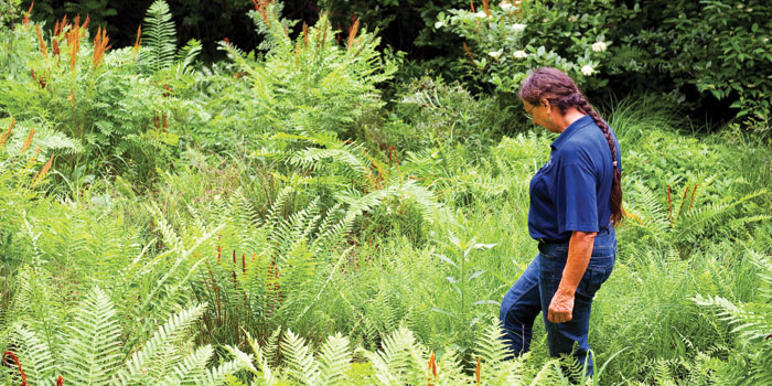 North Carolina zoo plant curator nell allen