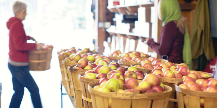 Mountain Fresh Orchards in Hendersonville North Carolina
