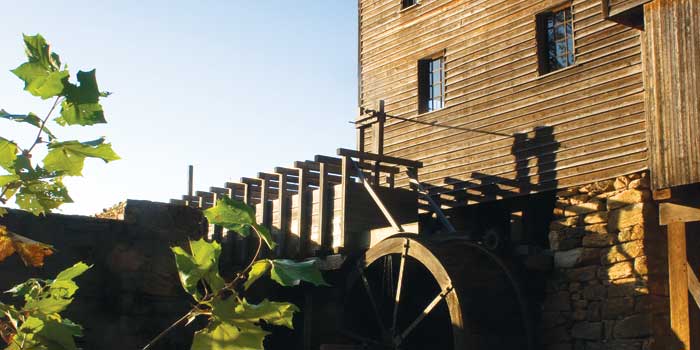 Yates Mill