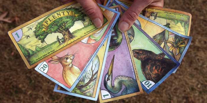 Pittsboro Plenty Pittsboro Plenty