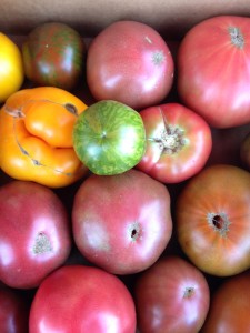 Local heirloom tomatoes in Wilmington, N.C.