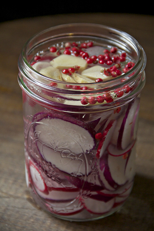 pickled radishes 6