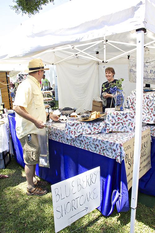 Vendors offer all sorts of blueberry treats at the N.C. Blueberry Festival.