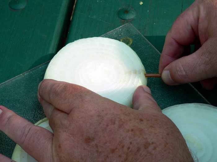 skewering the onions