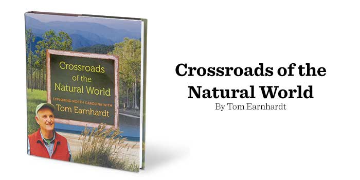 Crossroads of the Natural World by Tom Earnhardt