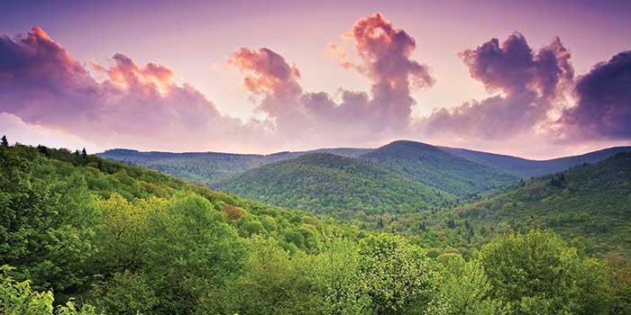 Graveyard Fields Pisgah National Forest