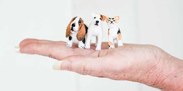 Marie Evans Pocket Portraits