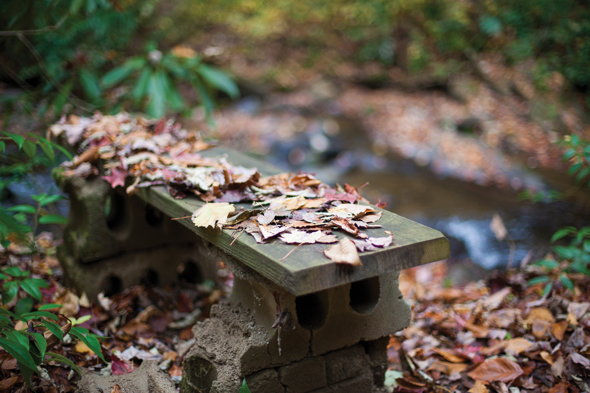 Ellison's walks often take him to the place where he composes his poems, a spot by the creek with a wood-and-cinder-block bench he set up 15 years ago.