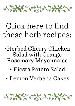 herb recipe image