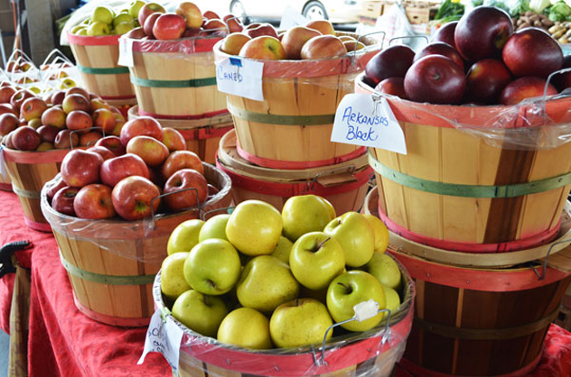 Apple-Butter_apples-variety