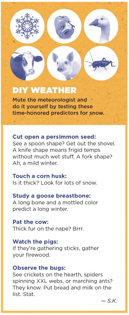 24,26,28 Jan_CLASSIC.indd