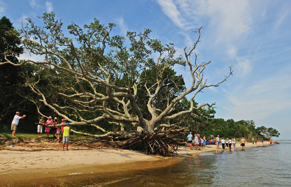 Photograph by Dylan Ray