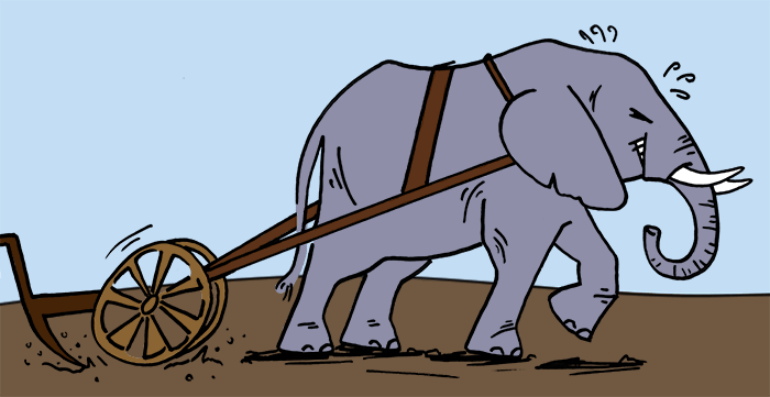 elephant_plow
