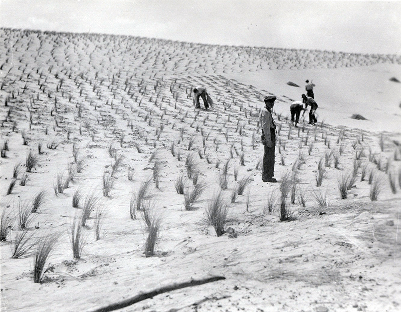 Photography Courtesy National Park Service, Cape Hatteras National Seashore Collection