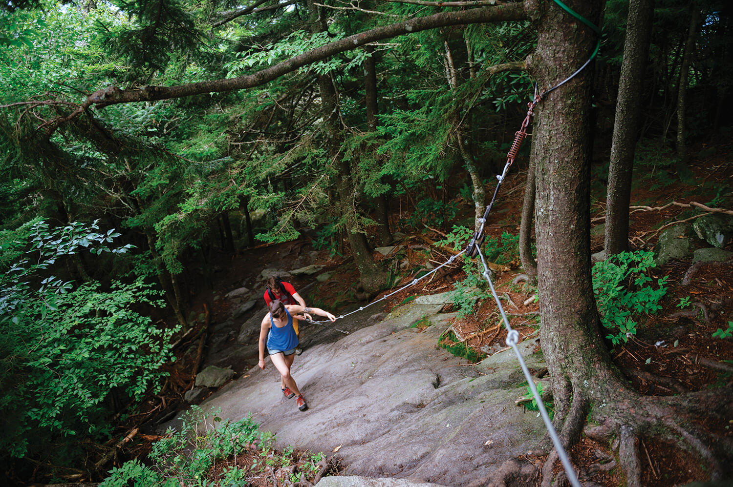 grandfather mountain