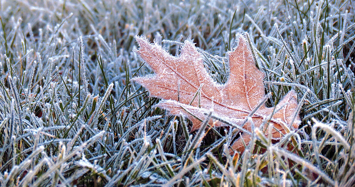 first frost