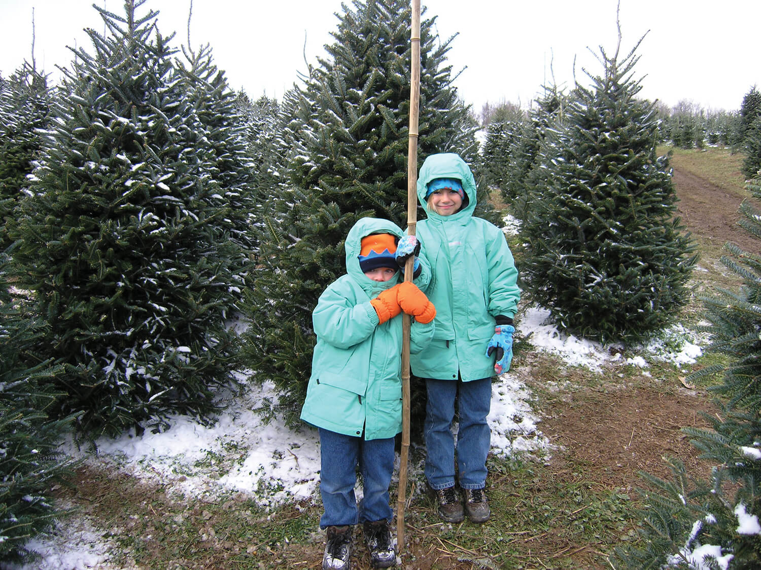 The Nickens family’s tradition began in 2003, with Jack and Markie Nickens — and a cane-pole measuring stick — in the North Carolina High Country.