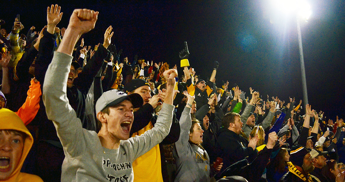 appalachian camellia bowl