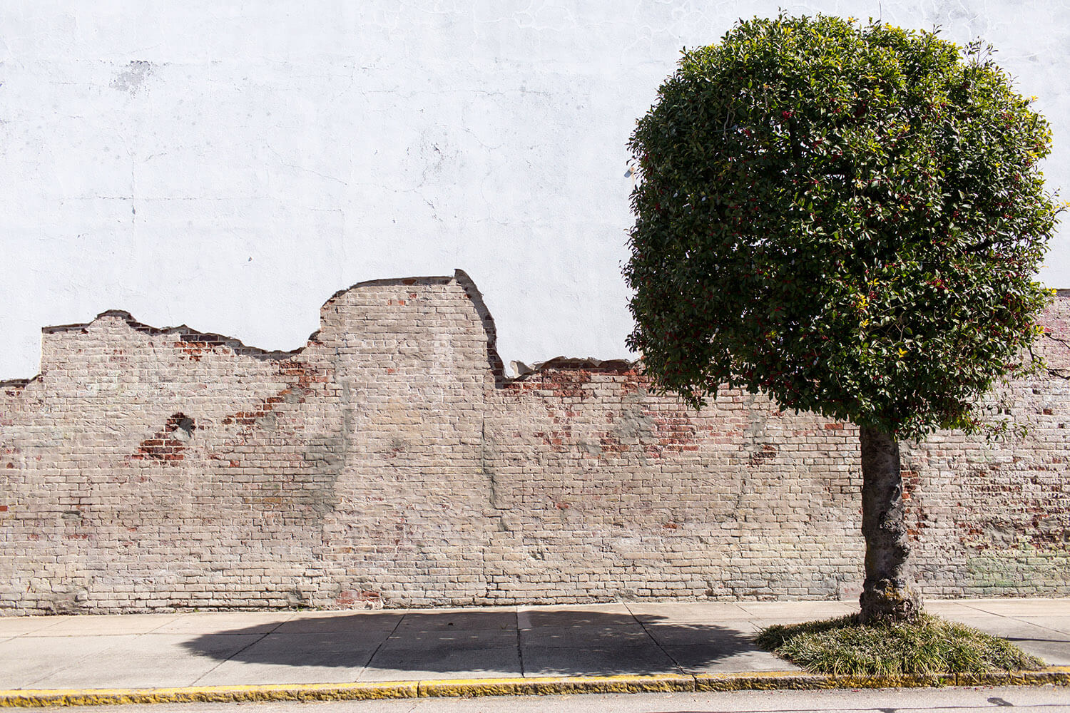 wilson north carolina