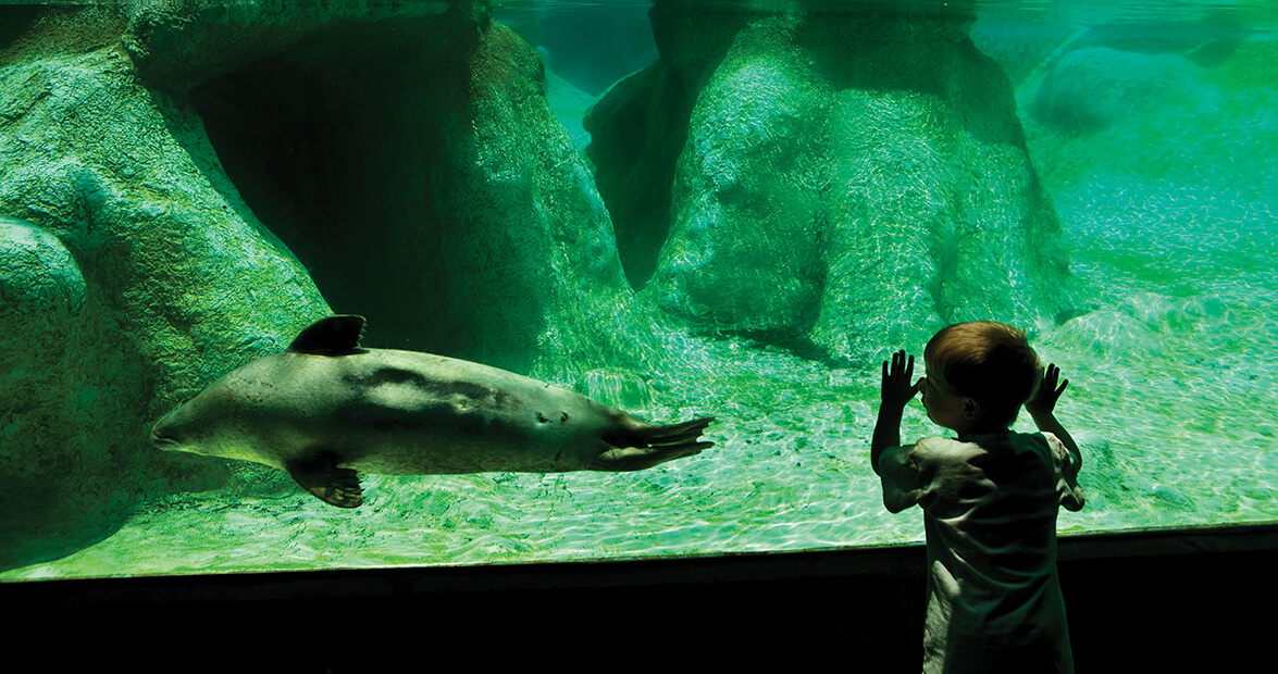 family tradition zoo