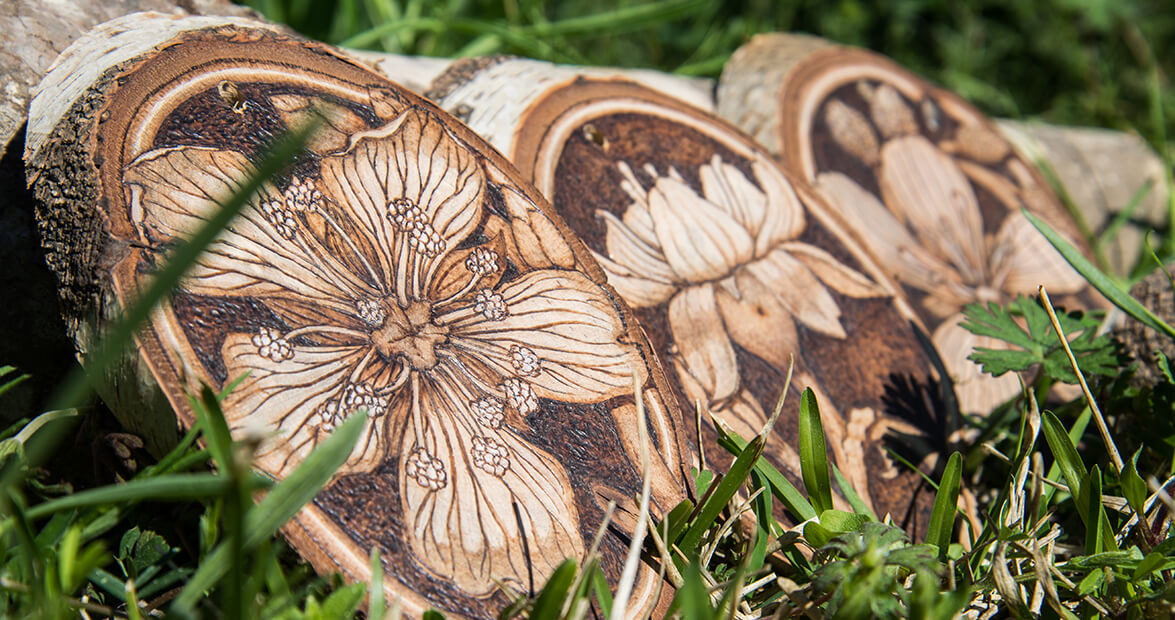 daphne thomas feature