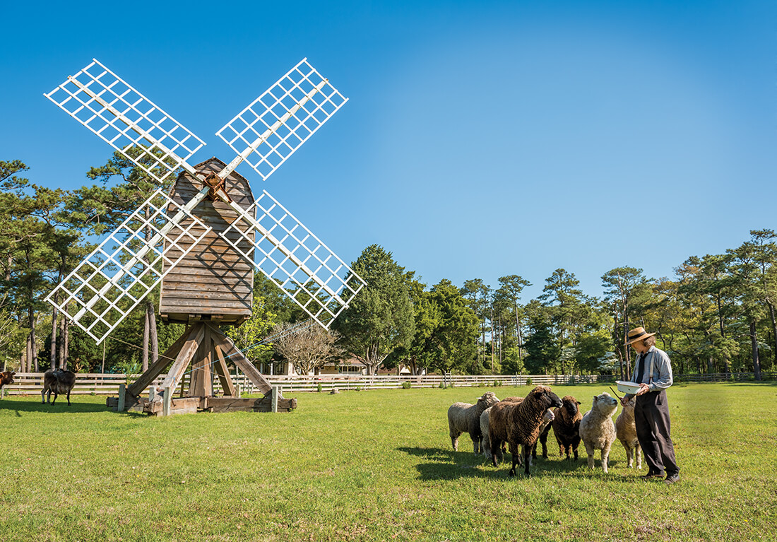 roanoke gene charlene staples