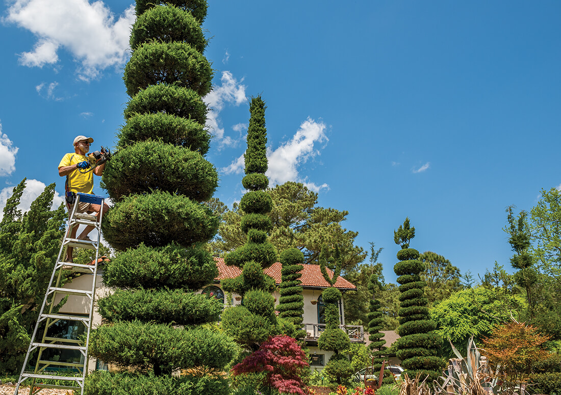 roanoke fred brumbach