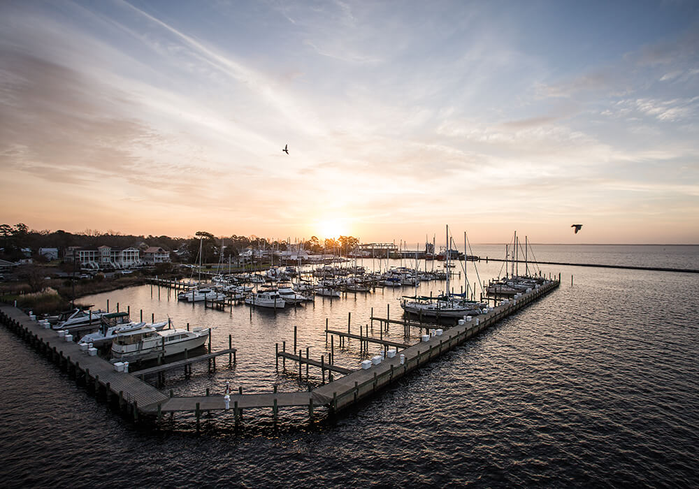 1 oriental chris hannant