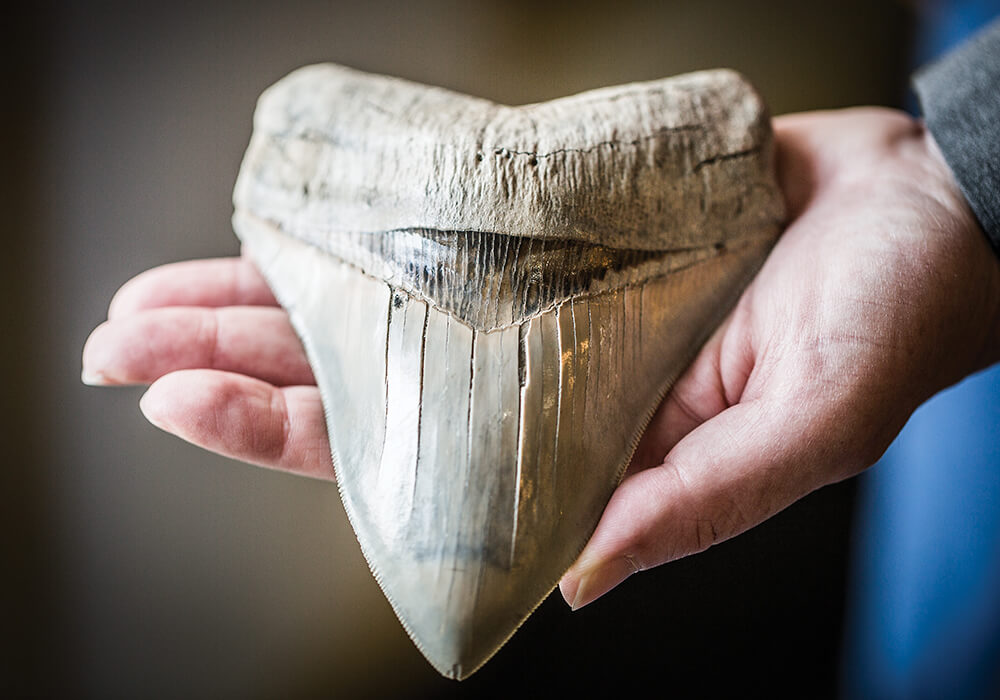 2 aurora chris hannant