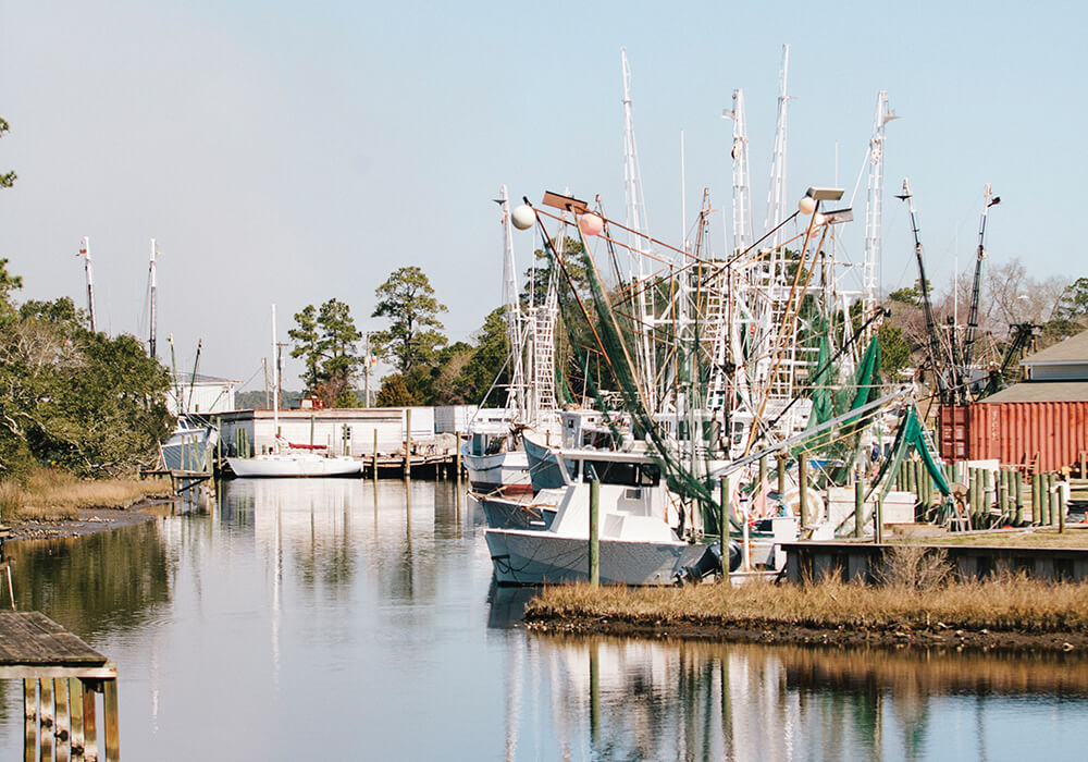 10 sneads ferry millie holloman