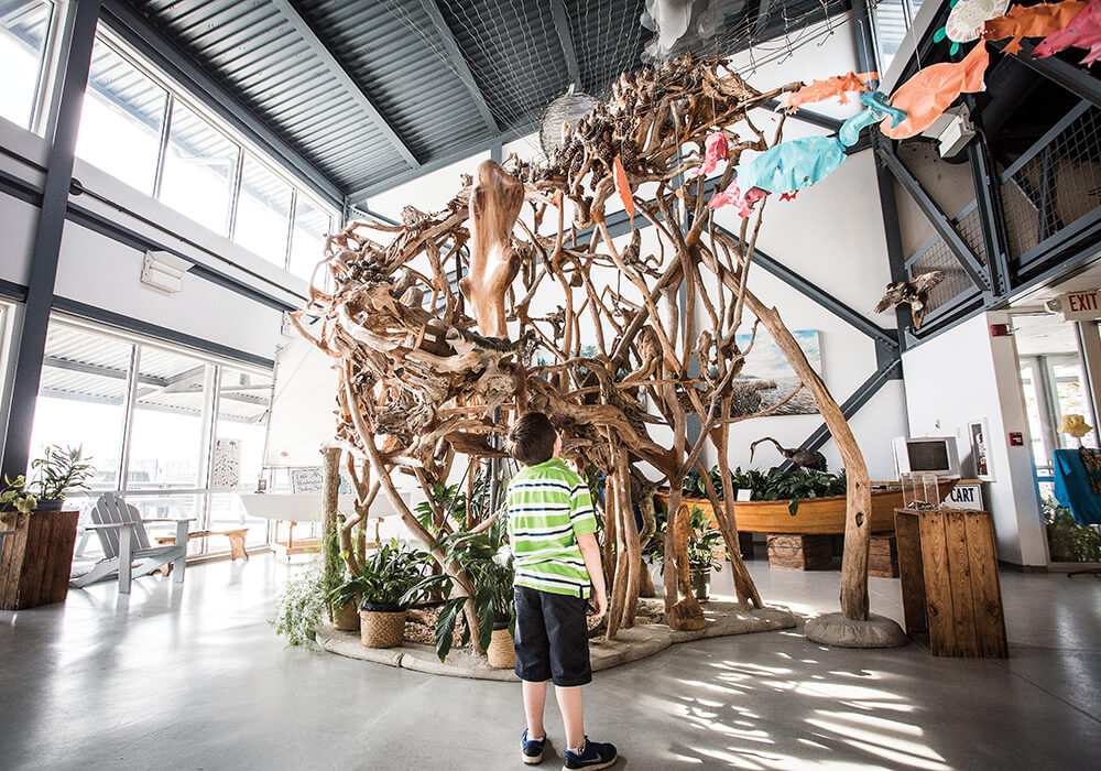 13 washington chris hannant