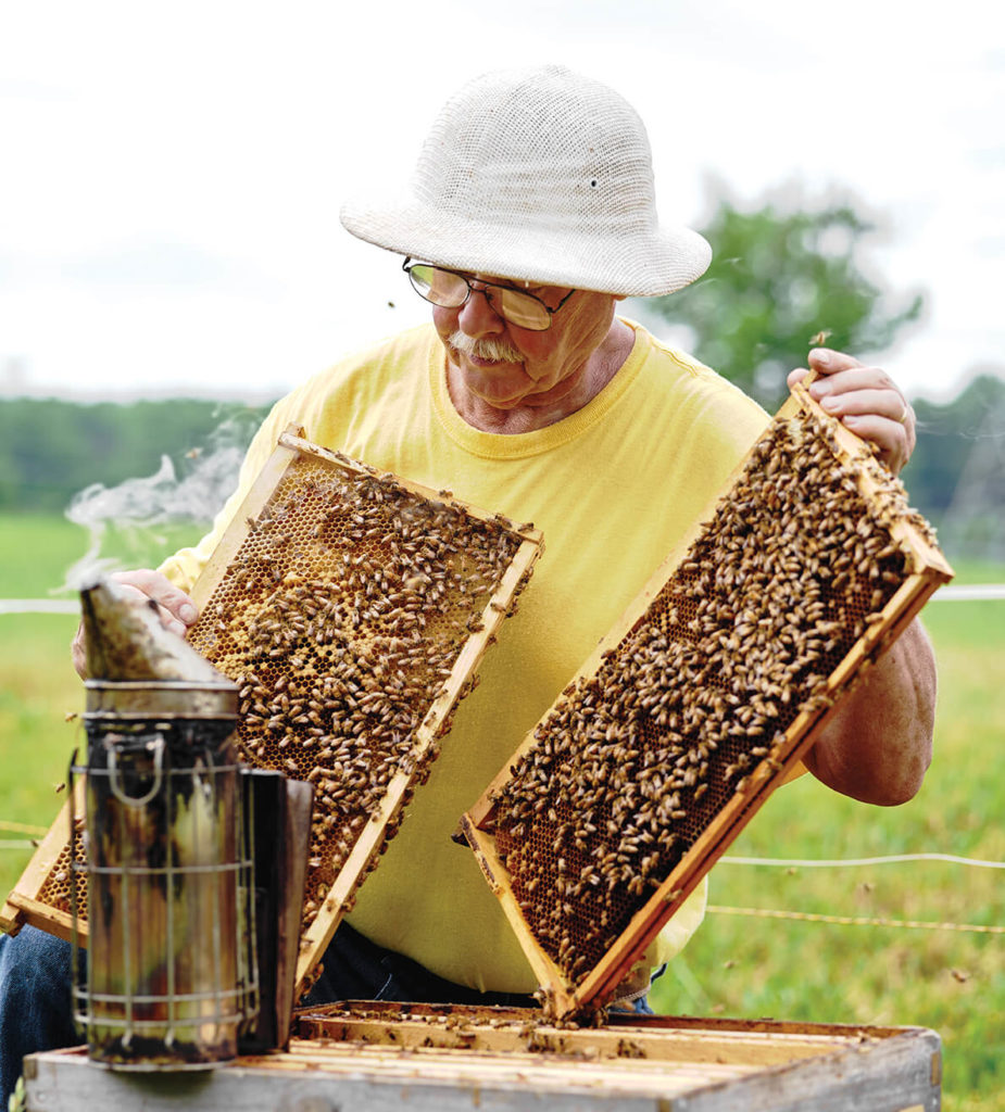 chuck norton beekeeper