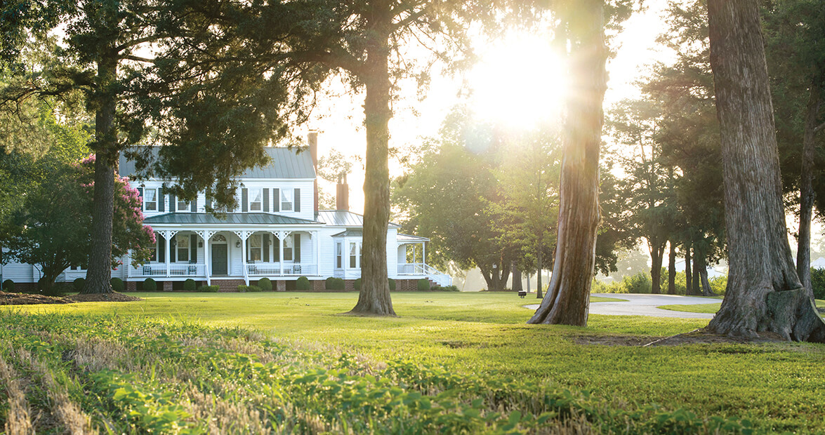 grimesland plantation feat img