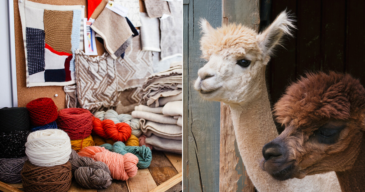 Meet the Maker: Echoview