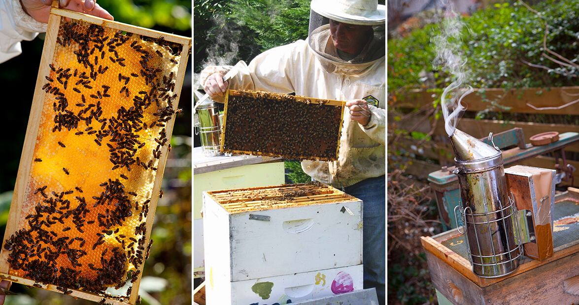 Meet the Maker: Cloister Honey