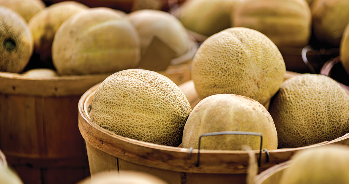 Come Summertime, Cantaloupes are Ridgeway's Royalty