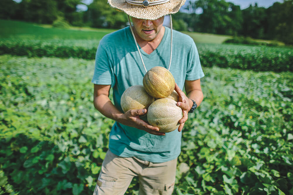 Come Summertime, Cantaloupes are Ridgeway's Royalty