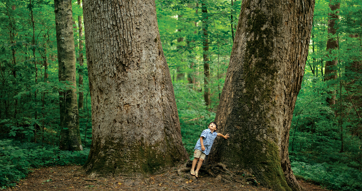 The September 2016 Issue