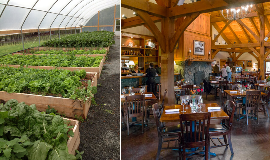 Farm-to-Table Restaurants in the Foothills