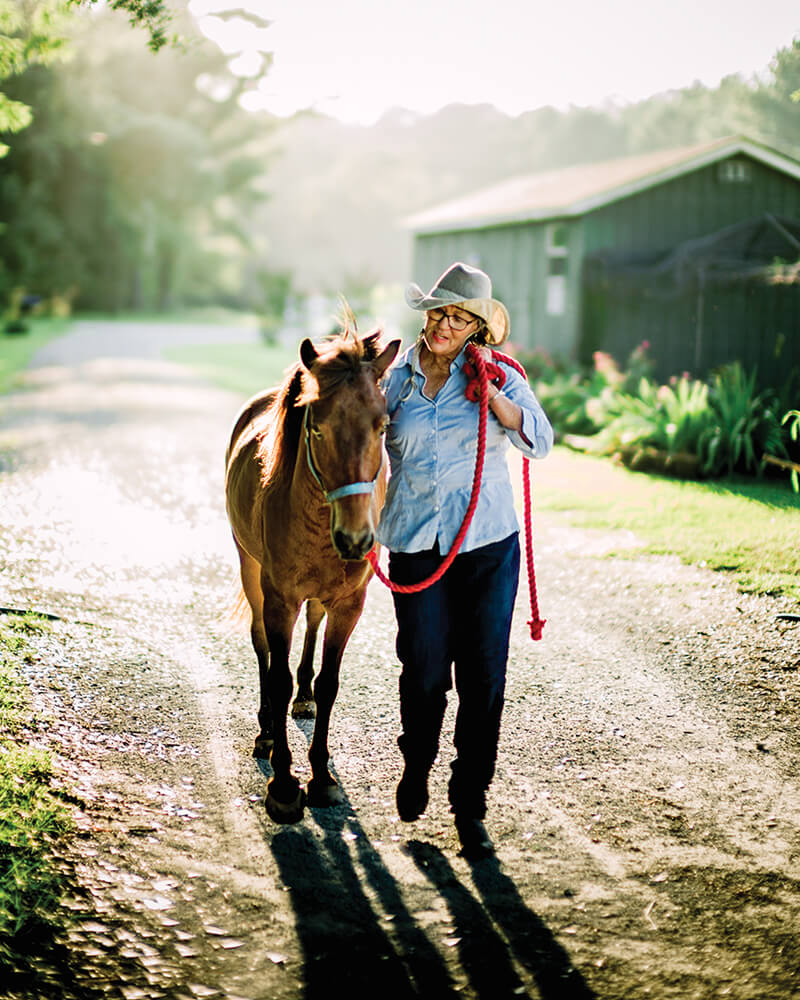 How One Woman Saved the Wild Horses of Shackleford Banks