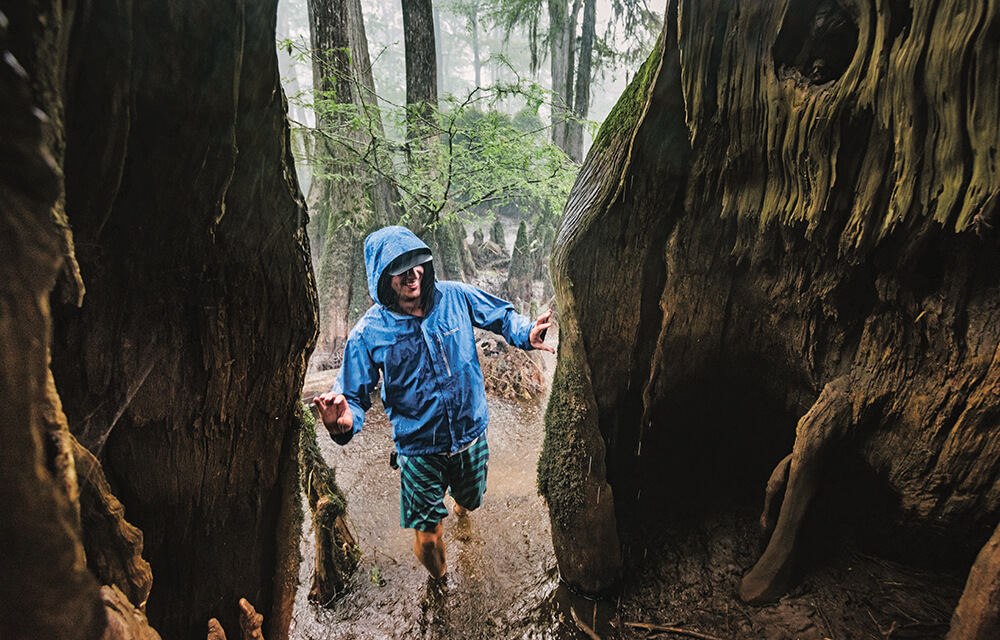 Photo Essay: Giants of The Forest