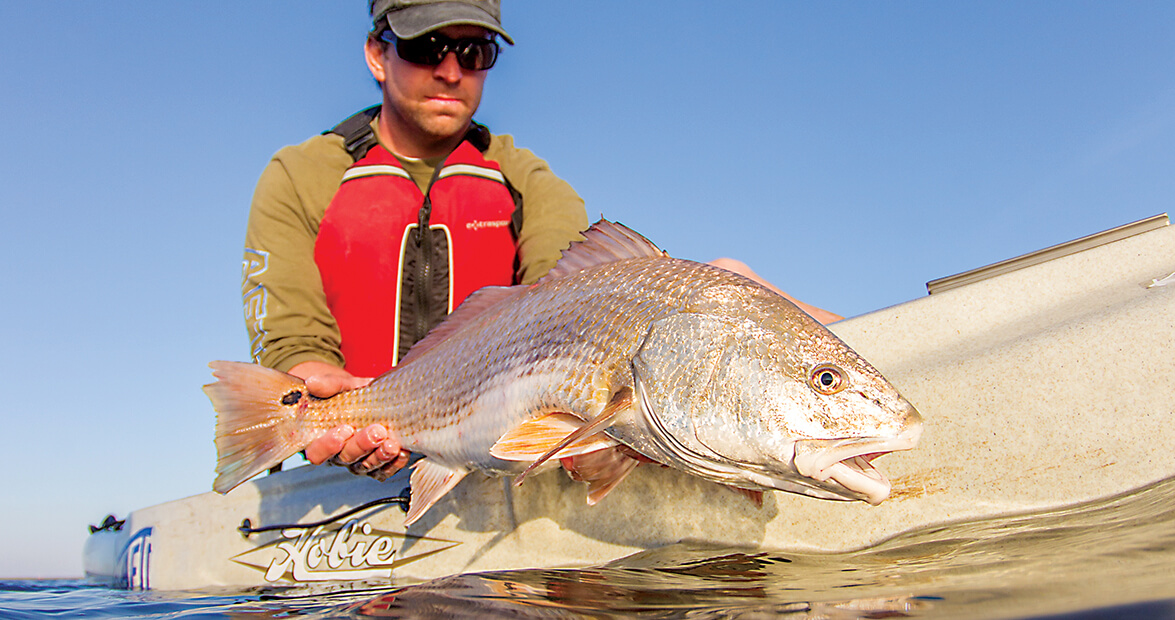 Channel Bass are the Official State Saltwater Fish of NC