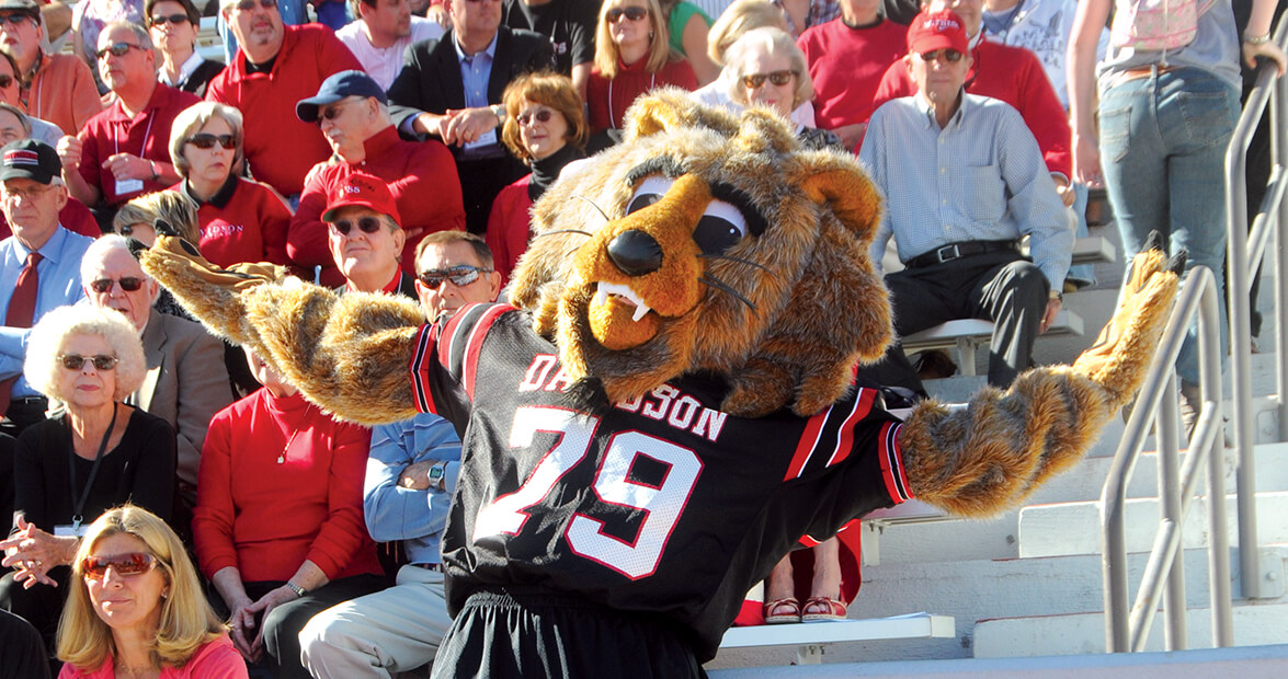 Davidson College's Mascot is Wild at Heart