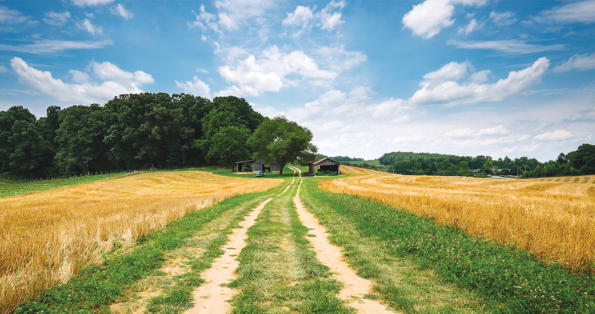 Being "Out in the Country" is a Way of Life