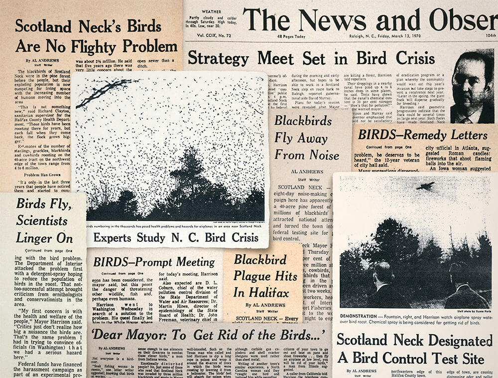 The Halifax County Bird Invasion of 1969