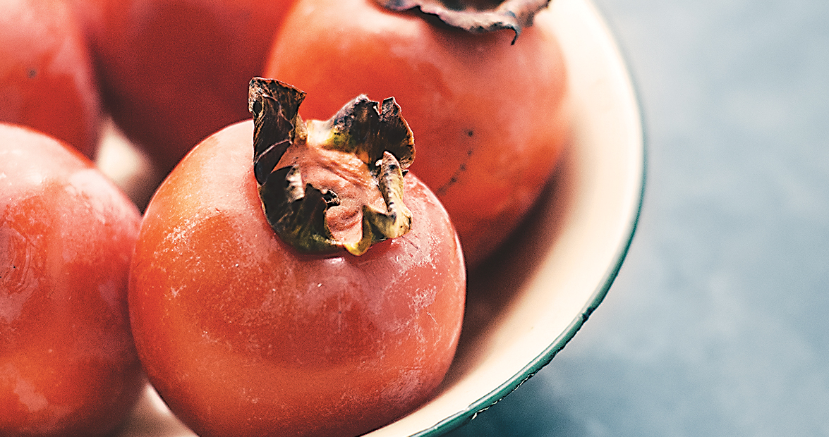 Persimmons are North Carolina's First Frost Fruits